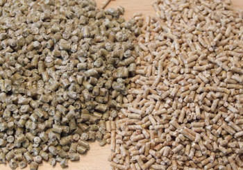 Wachteln sind keine Hausschweine, sondern brauchen hochwertiges Futter kornkraft wachtelfutter grohmühle ruppendorf geringswalde Wachtelfutter-Pellets sächsischer Hersteller: Grohmühle Geringswalde und Kornkraft Ruppendorf