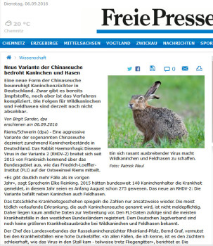 RHDV2: Die Regionalpresse zur Kaninchenseuche (Chinaseuche) in Sachsen / Erzgebirge chinaseuche rabbit haemorrhagic disease kaninchenkrankheit kaninchensterben Die Kaninchenkrankheit Chinaseuche (RHDV2) in der Freien Presse am 6.9.2016